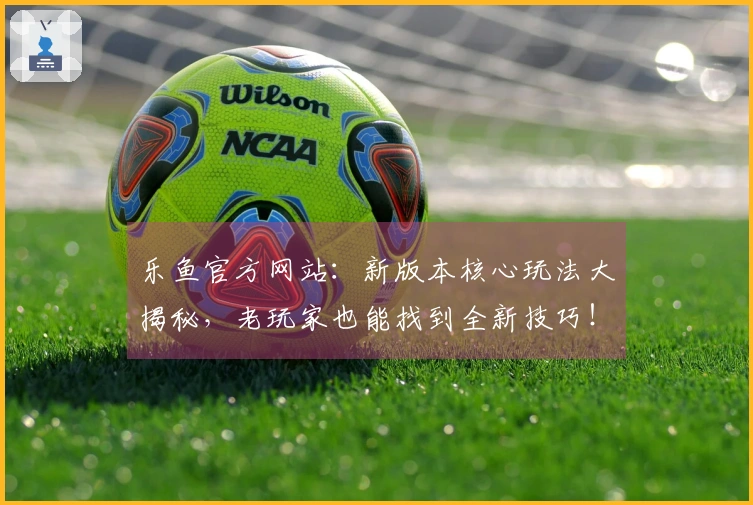 乐鱼官方网站：新版本核心玩法大揭秘，老玩家也能找到全新技巧！